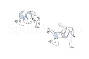 Donkey kick twist exercise guide with instructions, demonstration, calories burned and muscles worked. Learn proper form, discover all health benefits and choose a workout. https://www.spotebi.com/exercise-guide/donkey-kick-twist/