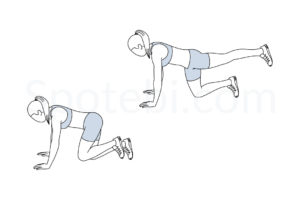 Donkey kicks exercise guide with instructions, demonstration, calories burned and muscles worked. Learn proper form, discover all health benefits and choose a workout. https://www.spotebi.com/exercise-guide/donkey-kicks/