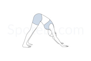 Downward facing dog pose (Adho Mukha Svanasana) instructions, illustration and mindfulness practice. Learn about preparatory, complementary and follow-up poses, and discover all health benefits. https://www.spotebi.com/exercise-guide/downward-facing-dog-pose/