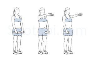 Dumbbell front raise exercise guide with instructions, demonstration, calories burned and muscles worked. Learn proper form, discover all health benefits and choose a workout. https://www.spotebi.com/exercise-guide/dumbbell-front-raise/