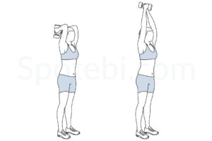 Dumbbell triceps extension exercise guide with instructions, demonstration, calories burned and muscles worked. Learn proper form, discover all health benefits and choose a workout. https://www.spotebi.com/exercise-guide/dumbbell-triceps-extension/