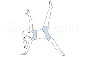 Extended half moon pose (Utthita Ardha Chandrasana) instructions, illustration, and mindfulness practice. Learn about preparatory, complementary and follow-up poses, and discover all health benefits. https://www.spotebi.com/exercise-guide/extended-half-moon-pose/