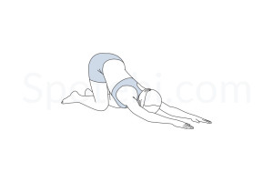 Extended puppy pose (Uttana Shishosana) instructions, illustration and mindfulness practice. Learn about preparatory, complementary and follow-up poses, and discover all health benefits. https://www.spotebi.com/exercise-guide/extended-puppy-pose/