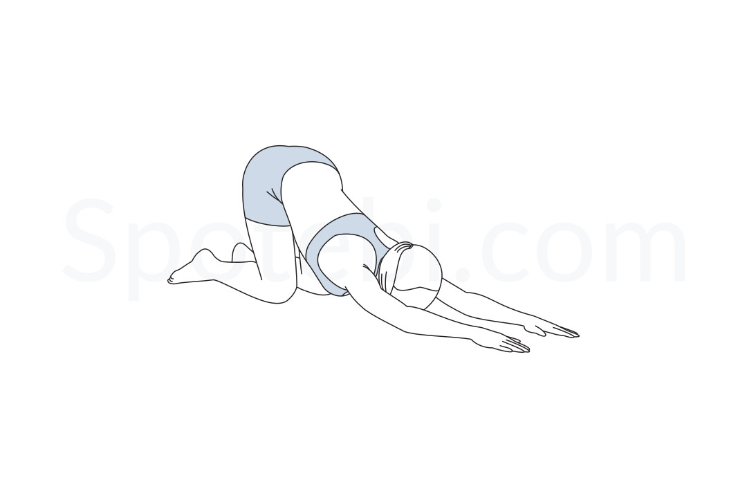 Extended puppy pose (Uttana Shishosana) instructions, illustration and mindfulness practice. Learn about preparatory, complementary and follow-up poses, and discover all health benefits. https://www.spotebi.com/exercise-guide/extended-puppy-pose/