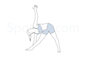 Extended triangle pose (Utthita Trikonasana) instructions, illustration and mindfulness practice. Learn about preparatory, complementary and follow-up poses, and discover all health benefits. https://www.spotebi.com/exercise-guide/utthita-trikonasana/