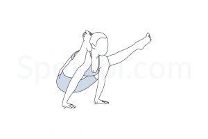 Firefly pose (Tittibhasana) instructions, illustration, and mindfulness practice. Learn about preparatory, complementary and follow-up poses, and discover all health benefits. https://www.spotebi.com/exercise-guide/firefly-pose/