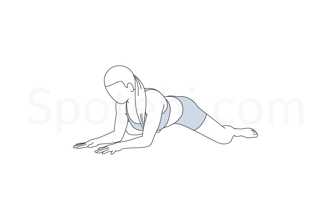 Frog pose (Mandukasana) instructions, illustration, and mindfulness practice. Learn about preparatory, complementary and follow-up poses, and discover all health benefits. https://www.spotebi.com/exercise-guide/frog-pose/