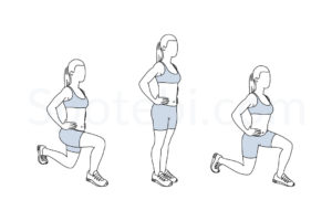 Front and back lunges exercise guide with instructions, demonstration, calories burned and muscles worked. Learn proper form, discover all health benefits and choose a workout. https://www.spotebi.com/exercise-guide/front-and-back-lunges/