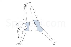 Full side plank pose (Vasisthasana) instructions, illustration, and mindfulness practice. Learn about preparatory, complementary and follow-up poses, and discover all health benefits. https://www.spotebi.com/exercise-guide/full-side-plank-pose/