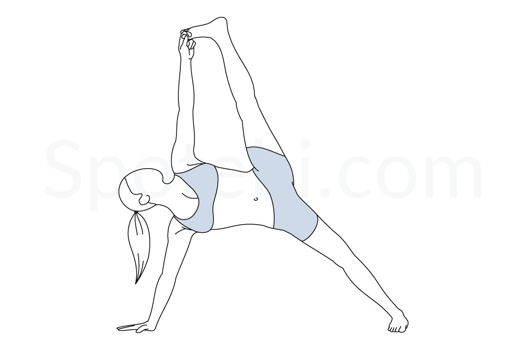 Full side plank pose (Vasisthasana) instructions, illustration, and mindfulness practice. Learn about preparatory, complementary and follow-up poses, and discover all health benefits. https://www.spotebi.com/exercise-guide/full-side-plank-pose/