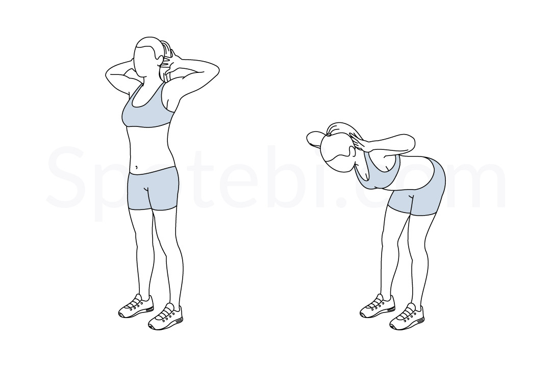 Good mornings exercise guide with instructions, demonstration, calories burned and muscles worked. Learn proper form, discover all health benefits and choose a workout. https://www.spotebi.com/exercise-guide/good-mornings/