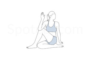 Half lord of the fishes pose (Ardha Matsyendrasana) instructions, illustration, and mindfulness practice. Learn about preparatory, complementary and follow-up poses, and discover all health benefits. https://www.spotebi.com/exercise-guide/half-lord-of-the-fishes-pose/