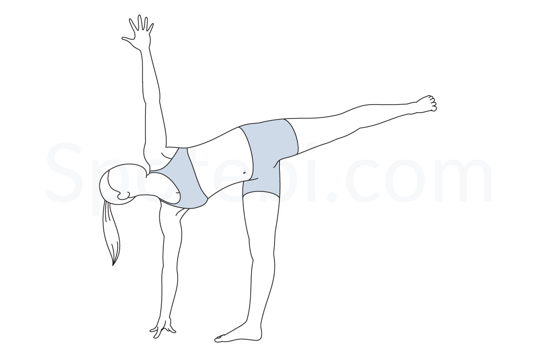 Half moon pose (Ardha Chandrasana) instructions, illustration, and mindfulness practice. Learn about preparatory, complementary and follow-up poses, and discover all health benefits. https://www.spotebi.com/exercise-guide/half-moon-pose/