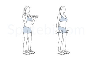 Hammer curls exercise guide with instructions, demonstration, calories burned and muscles worked. Learn proper form, discover all health benefits and choose a workout. https://www.spotebi.com/exercise-guide/hammer-curls/