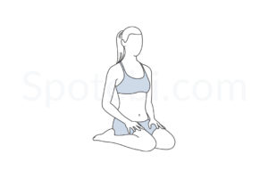 Hero pose (Virasana) instructions, illustration, and mindfulness practice. Learn about preparatory, complementary and follow-up poses, and discover all health benefits. https://www.spotebi.com/exercise-guide/hero-pose/