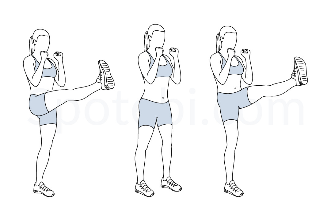 High kicks exercise guide with instructions, demonstration, calories burned and muscles worked. Learn proper form, discover all health benefits and choose a workout. https://www.spotebi.com/exercise-guide/high-kicks/
