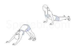 Hindu push ups exercise guide with instructions, demonstration, calories burned and muscles worked. Learn proper form, discover all health benefits and choose a workout. https://www.spotebi.com/exercise-guide/hindu-push-ups/