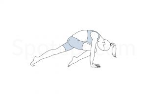 Knee to nose dog pose (Jaanu Naasikaa Adho Mukha Svanasana) instructions, illustration, and mindfulness practice. Learn about preparatory, complementary and follow-up poses, and discover all health benefits. https://www.spotebi.com/exercise-guide/knee-to-nose-dog-pose/