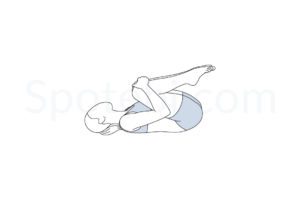 Knees to chest pose (Apanasana) instructions, illustration, and mindfulness practice. Learn about preparatory, complementary and follow-up poses, and discover all health benefits. https://www.spotebi.com/exercise-guide/knees-to-chest-pose/