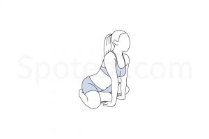 Lion pose (Simhasana) instructions, illustration, and mindfulness practice. Learn about preparatory, complementary and follow-up poses, and discover all health benefits. https://www.spotebi.com/exercise-guide/lion-pose/