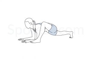 Lizard pose (Utthan Pristhasana) instructions, illustration, and mindfulness practice. Learn about preparatory, complementary and follow-up poses, and discover all health benefits. https://www.spotebi.com/exercise-guide/lizard-pose/