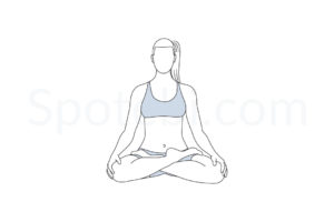 Lotus pose (Padmasana) instructions, illustration, and mindfulness practice. Learn about preparatory, complementary and follow-up poses, and discover all health benefits. https://www.spotebi.com/exercise-guide/lotus-pose/