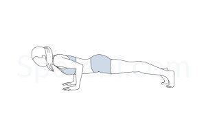 Low plank pose (Chaturanga Dandasana) instructions, illustration and mindfulness practice. Learn about preparatory, complementary and follow-up poses, and discover all health benefits. https://www.spotebi.com/exercise-guide/chaturanga-dandasana/