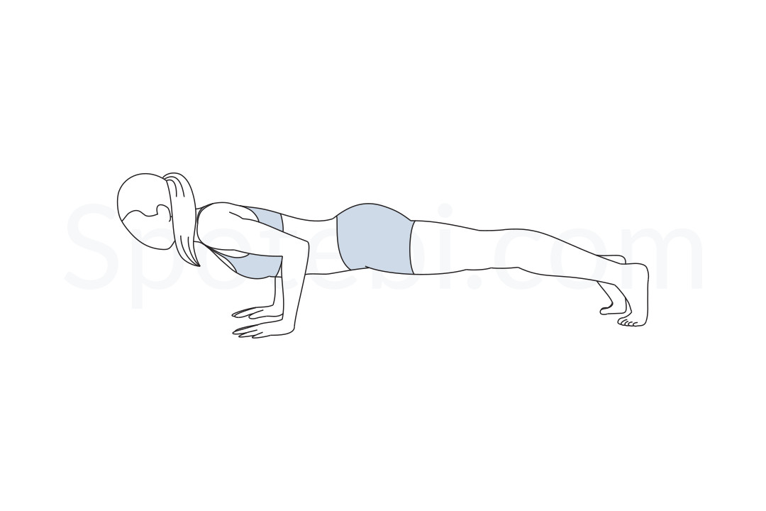 Low plank pose (Chaturanga Dandasana) instructions, video demonstration and mindfulness practice. Learn about preparatory, complementary and follow-up poses, and discover all health benefits. https://www.spotebi.com/exercise-guide/chaturanga-dandasana/