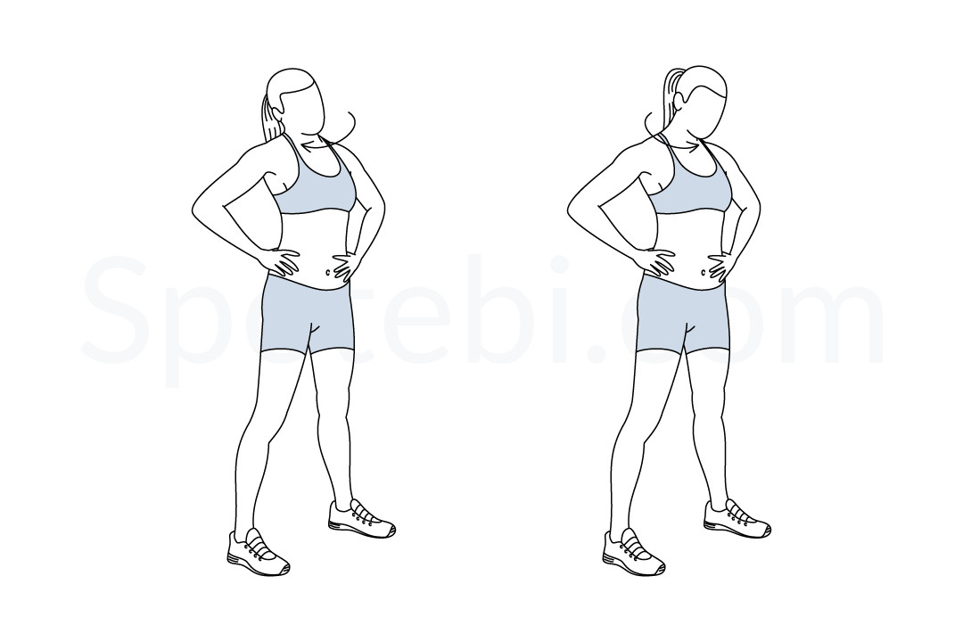 Neck rolls exercise guide with instructions, demonstration, calories burned and muscles worked. Learn proper form, discover all health benefits and choose a workout. https://www.spotebi.com/exercise-guide/neck-rolls/