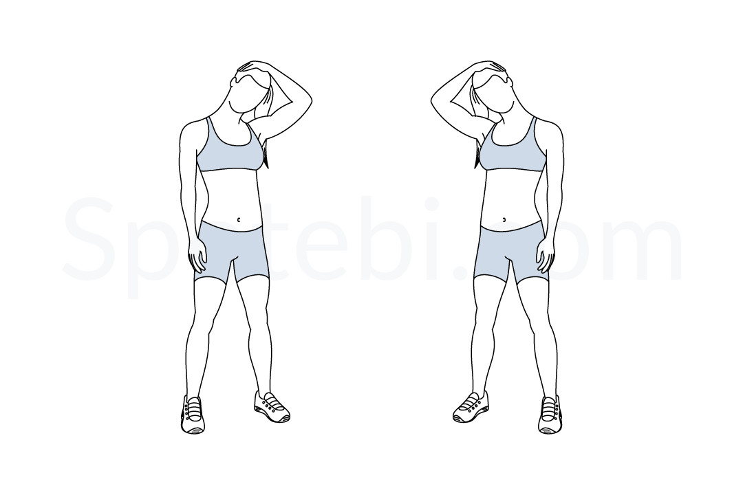 Neck stretch exercise guide with instructions, demonstration, calories burned and muscles worked. Learn proper form, discover all health benefits and choose a workout. https://www.spotebi.com/exercise-guide/neck-stretch/