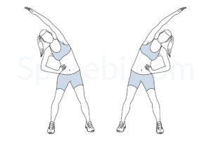 Obliques stretch exercise guide with instructions, demonstration, calories burned and muscles worked. Learn proper form, discover all health benefits and choose a workout. https://www.spotebi.com/exercise-guide/obliques-stretch/