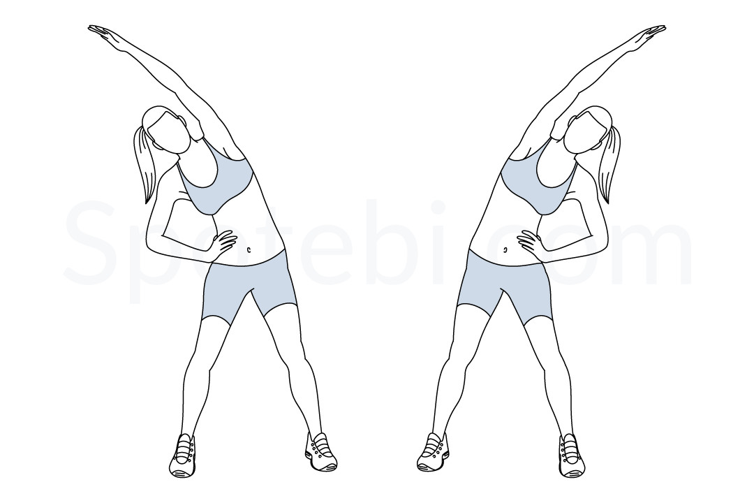 Obliques stretch exercise guide with instructions, demonstration, calories burned and muscles worked. Learn proper form, discover all health benefits and choose a workout. https://www.spotebi.com/exercise-guide/obliques-stretch/