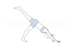 One legged downward dog pose (Eka Pada Adho Mukha Svanasana) instructions, illustration, and mindfulness practice. Learn about preparatory, complementary and follow-up poses, and discover all health benefits. https://www.spotebi.com/exercise-guide/one-legged-downward-dog-pose/