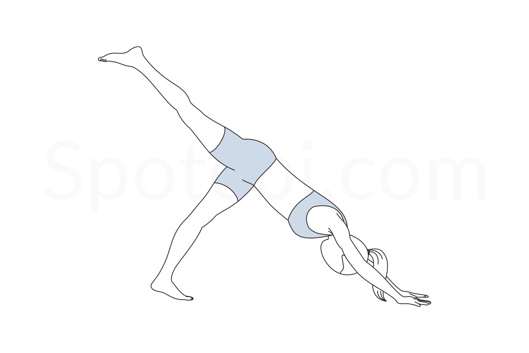 One legged downward dog pose (Eka Pada Adho Mukha Svanasana) instructions, illustration, and mindfulness practice. Learn about preparatory, complementary and follow-up poses, and discover all health benefits. https://www.spotebi.com/exercise-guide/one-legged-downward-dog-pose/