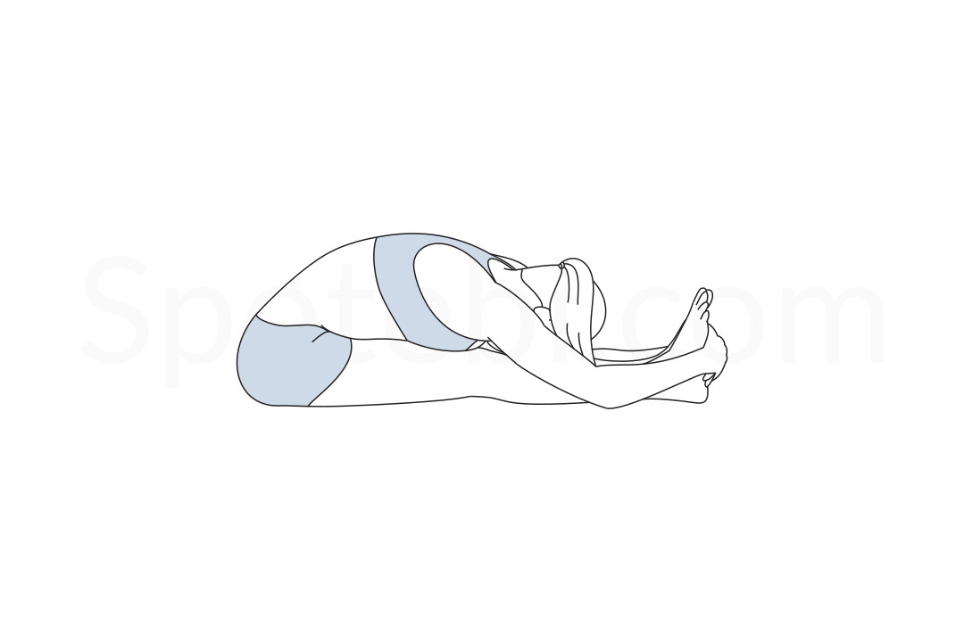 Seated forward bend pose (Paschimottanasana) instructions, illustration and mindfulness practice. Learn about preparatory, complementary and follow-up poses, and discover all health benefits. https://www.spotebi.com/exercise-guide/seated-forward-bend-pose/