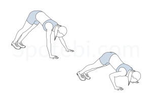 Pike push up exercise guide with instructions, demonstration, calories burned and muscles worked. Learn proper form, discover all health benefits and choose a workout. https://www.spotebi.com/exercise-guide/pike-push-up/