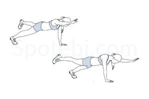 Plank bird dog exercise guide with instructions, demonstration, calories burned and muscles worked. Learn proper form, discover all health benefits and choose a workout. https://www.spotebi.com/exercise-guide/plank-bird-dog/