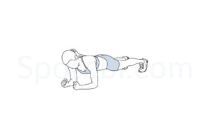 Plank exercise guide with instructions, demonstration, calories burned and muscles worked. Learn proper form, discover all health benefits and choose a workout. https://www.spotebi.com/exercise-guide/plank/