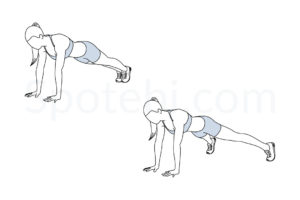 Plank jacks exercise guide with instructions, demonstration, calories burned and muscles worked. Learn proper form, discover all health benefits and choose a workout. https://www.spotebi.com/exercise-guide/plank-jacks/