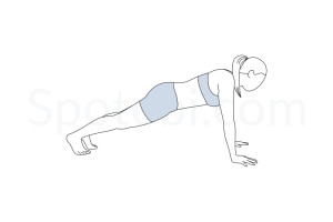 Plank pose (Phalakasana) instructions, illustration and mindfulness practice. Learn about preparatory, complementary and follow-up poses, and discover all health benefits. https://www.spotebi.com/exercise-guide/plank-pose/