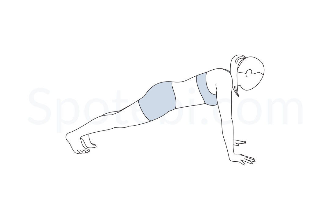 Plank pose (Phalakasana) instructions, illustration and mindfulness practice. Learn about preparatory, complementary and follow-up poses, and discover all health benefits. https://www.spotebi.com/exercise-guide/plank-pose/