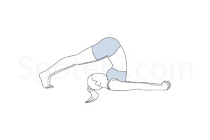 Plow pose (Halasana) instructions, illustration, and mindfulness practice. Learn about preparatory, complementary and follow-up poses, and discover all health benefits. https://www.spotebi.com/exercise-guide/plow-pose/