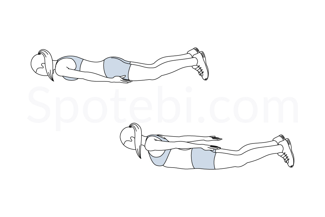 Prone back extension exercise guide with instructions, demonstration, calories burned and muscles worked. Learn proper form, discover all health benefits and choose a workout. https://www.spotebi.com/exercise-guide/prone-back-extension/