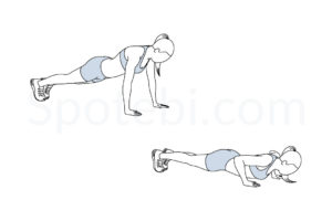 Push up exercise guide with instructions, demonstration, calories burned and muscles worked. Learn proper form, discover all health benefits and choose a workout. https://www.spotebi.com/exercise-guide/push-up/