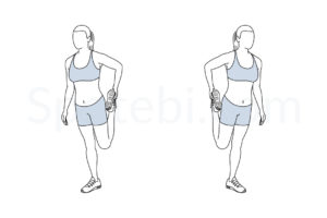 Quad stretch exercise guide with instructions, demonstration, calories burned and muscles worked. Learn proper form, discover all health benefits and choose a workout. https://www.spotebi.com/exercise-guide/quad-stretch/