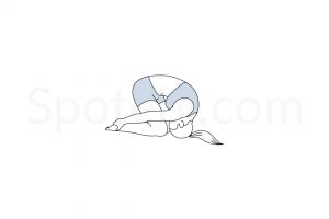 Rabbit pose (Sasangasana) instructions, illustration, and mindfulness practice. Learn about preparatory, complementary and follow-up poses, and discover all health benefits. https://www.spotebi.com/exercise-guide/rabbit-pose/