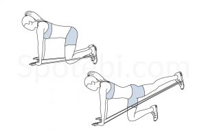 Band donkey kicks exercise guide with instructions, demonstration, calories burned and muscles worked. Learn proper form, discover all health benefits and choose a workout. https://www.spotebi.com/exercise-guide/band-donkey-kicks/