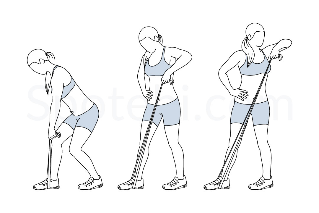 Lawnmower band pull exercise guide with instructions, demonstration, calories burned and muscles worked. Learn proper form, discover all health benefits and choose a workout. https://www.spotebi.com/exercise-guide/lawnmower-band-pull/