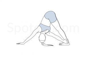 Revolved downward facing dog pose (Parivrtta Adho Mukha Svanasana) instructions, illustration, and mindfulness practice. Learn about preparatory, complementary and follow-up poses, and discover all health benefits. https://www.spotebi.com/exercise-guide/revolved-downward-facing-dog-pose/