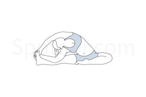 Revolved head to knee pose (Parivrtta Janu Sirsasana) instructions, illustration, and mindfulness practice. Learn about preparatory, complementary and follow-up poses, and discover all health benefits. https://www.spotebi.com/exercise-guide/revolved-head-to-knee-pose/